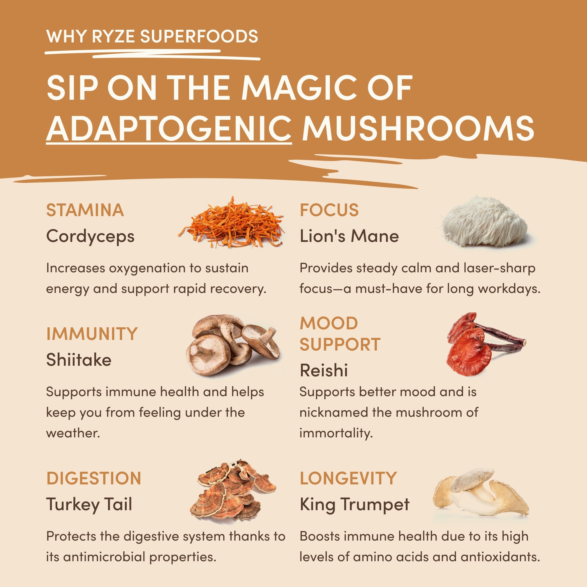Mushroom Overnight Oats (14 Servings) - with an Easy Overnight Oats Format